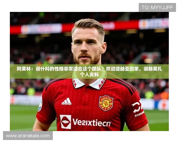 九游娱乐官方网站赞助不莱梅足球俱乐部对游戏用户体验和品牌忠诚度的积极影响分析